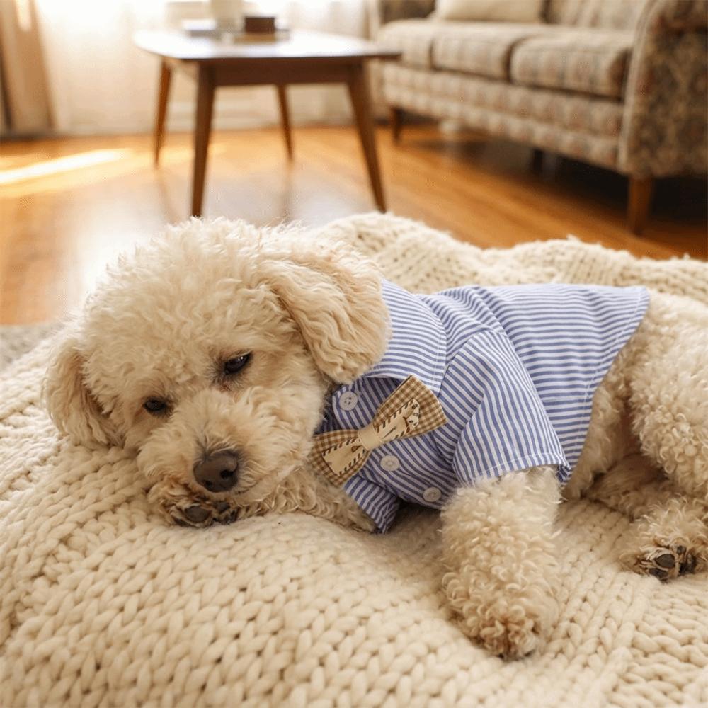 Striped Pattern Pet Clothes Thin Lightweight Canine Apparel Small Breed Dog Shirt  Home Leisure