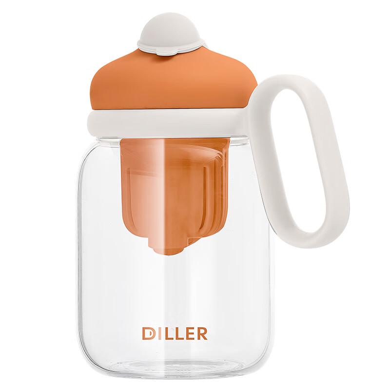 Dillerbelle High-Value Glass Water Bottle