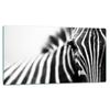 Szklana Płyta Deska Do Krojenia 52X30 Zebra