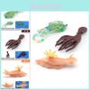 Realistic Pvc Ocean Creature Models Featuring Sea Hare Cuttlefish And Green Spotted Squid