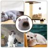 Cat Houses Winter Deep Sleep Comfort Cat Bed Cute Bear Head Shape Nest Pets Tent Cozy Cave for Cats House Pet Supplies
