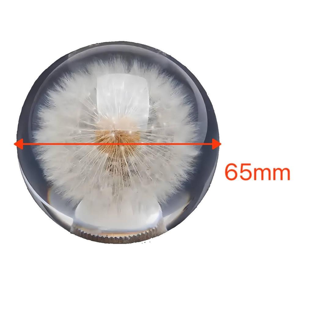 Roost Underwater Flower Shift Knob (Sphere Dandelion)