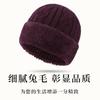 Middle-aged warm wool hat women's autumn and winter piled thickened knitted hat elderly versatile ear protection wool hat