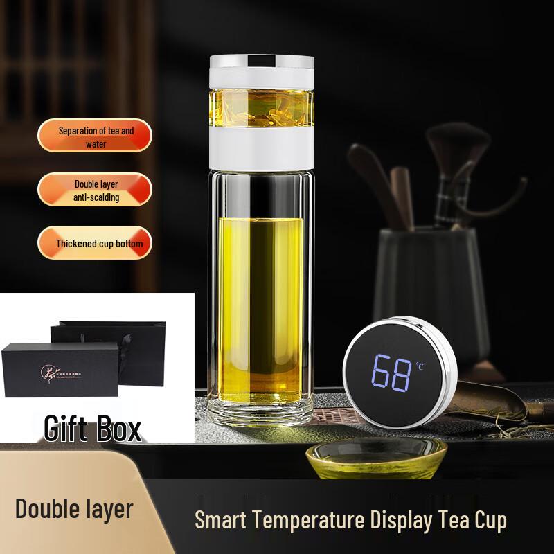 Portable Tea Infuser Double Wall Glass Bottle