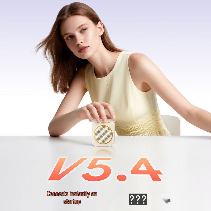 TAKSTAR E140 Portable Wireless Voice Amplifier