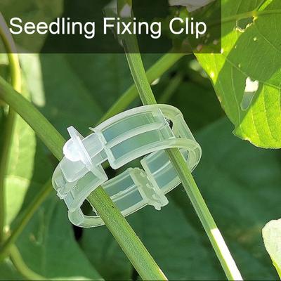 Clips de fixation de semis, 20 pièces, clips de support de plantes à ouverture rapide, boucles de fixation de vigne transparentes pour greffer des vignes et suspendre des plantes, croissance saine