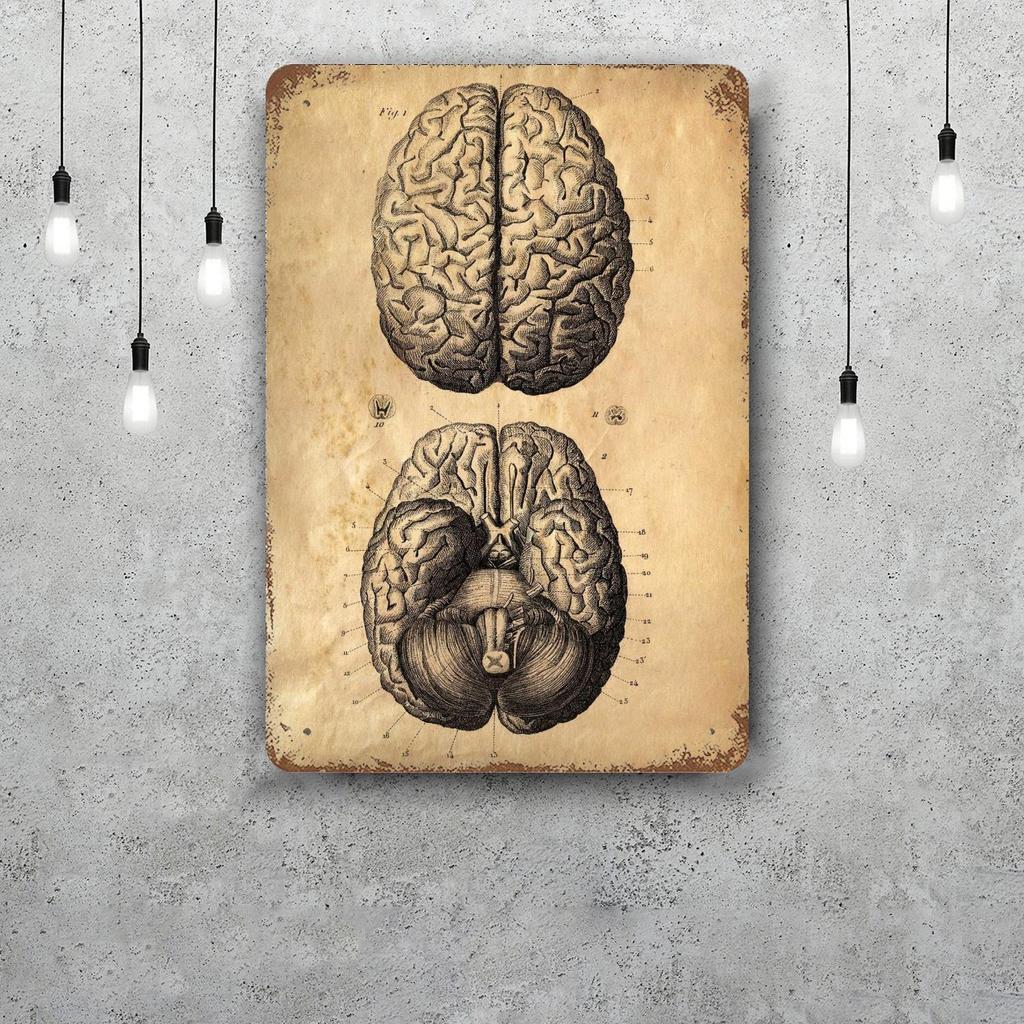 Brain Funny Bar Metal Sign Retro Plaque Vintage Sign Alcohol Drinker Pub Club Man Cave Kitchen Wall Decoration