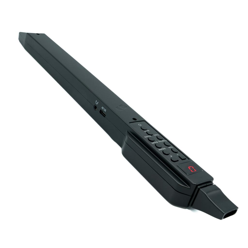 MusicMate MM-D10 AeroTone 10-in-1 Electronic Wind Instrument