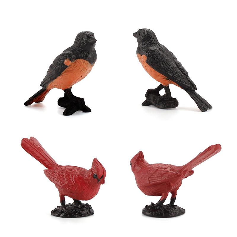 Mini Bird Model Set With Pvc Material For Collection And Display