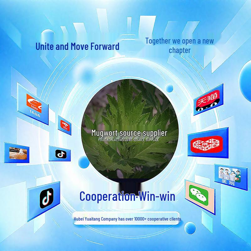 8cm Three-Year Aged Moxa Stick - Thick Pure Moxa Floss for Home Moxibustion Therapy