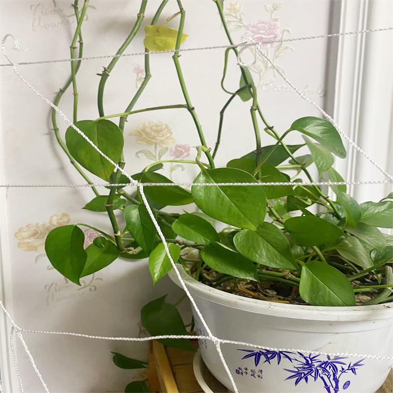 Plant Trellis Netting Heavy-Duty Plant Support Vine Climbing Hydroponics Garden Net Accessories Gardening Bracket Climbing Nets
