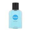 Pitralon Polar After Shave Lotion 100 Ml (man)