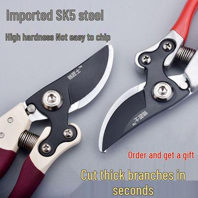 Heavy-Duty Pruning Shears for Trees and Flowers