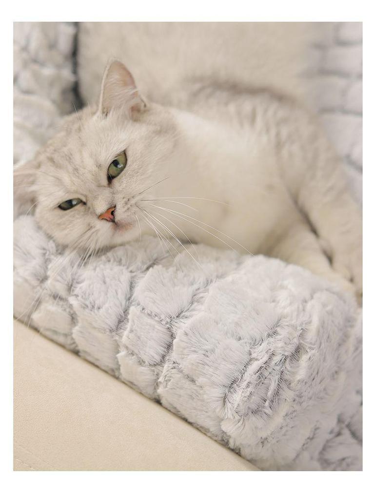 Sofa Removable Washable Dog & Cat Winter Bed - Universal Small Pet Mat, Warm & Thickened