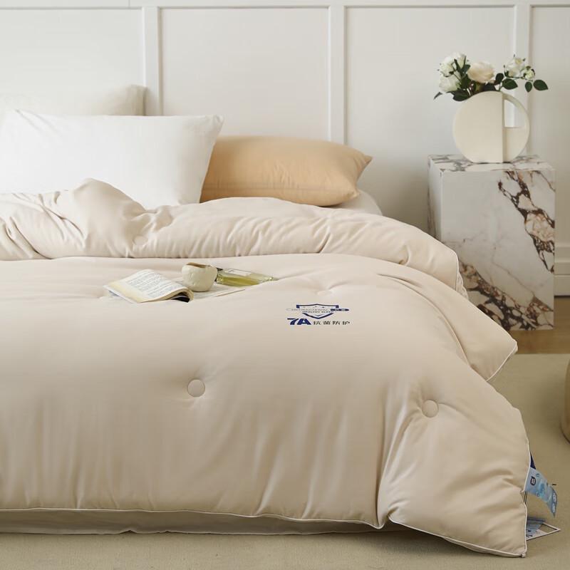 Southern Living 7A Antibacterial Skin-Friendly Winter Quilt