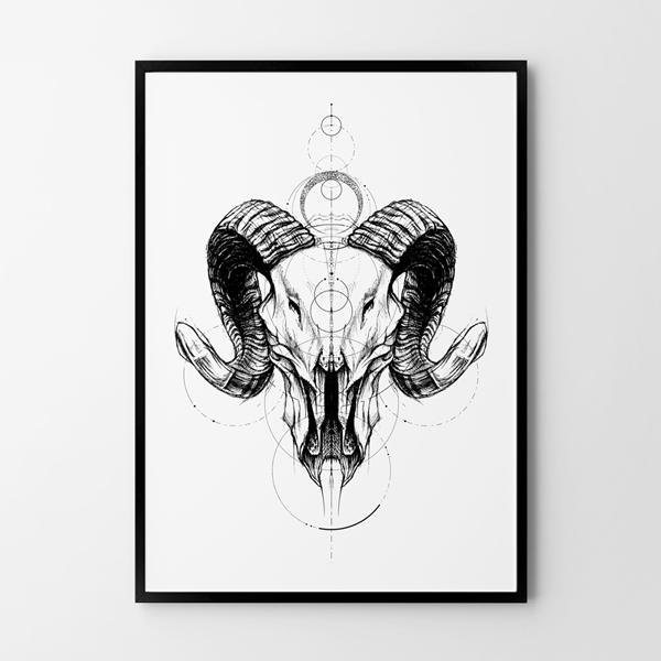 Plakat szkic czaszka geometria