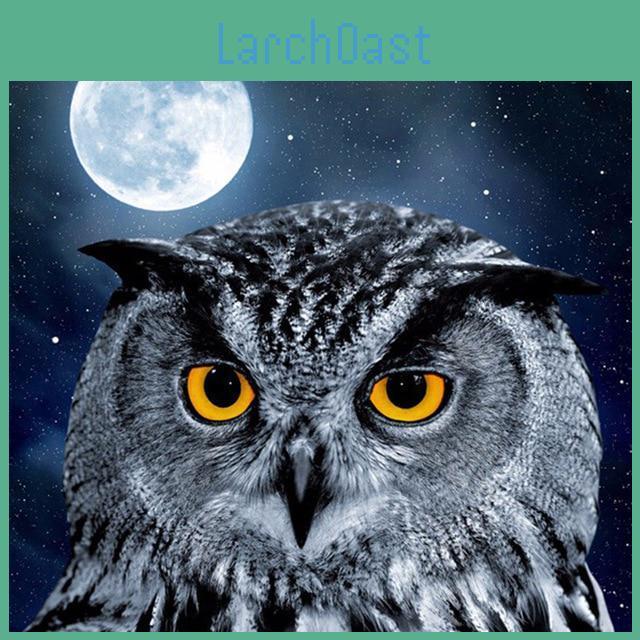 Moon Diamond 5d Embroidery Owl Diy Diamond Painting Cross Stitch Picture Full Round Diamond