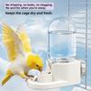 Detachable Automatic Bird Water Feeder Universal Parrot Feeding Box  for All Small Pet