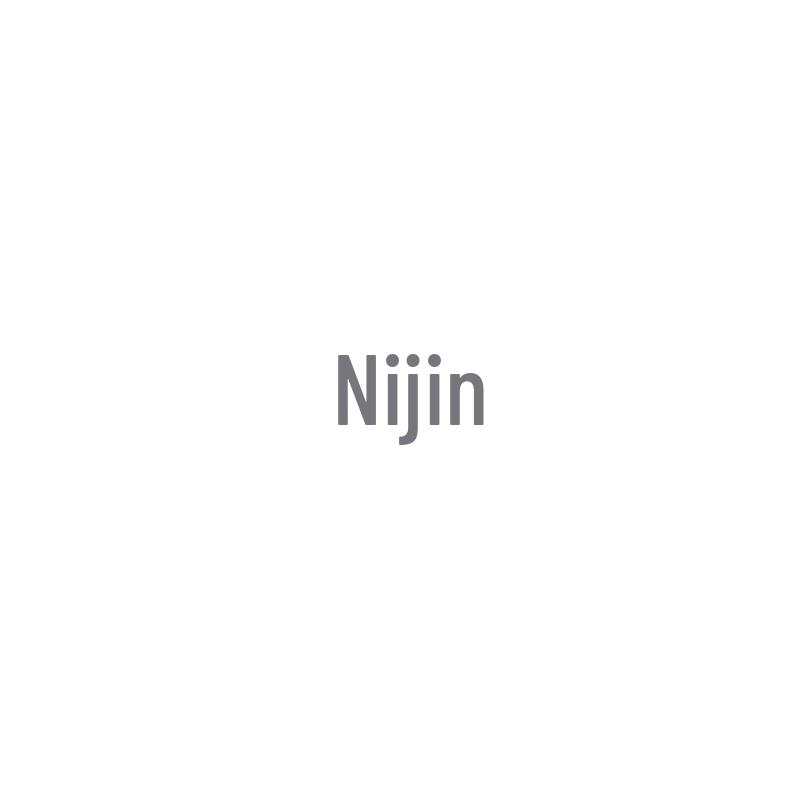 Nijing Oil Pan Gasket Seal for Iveco NJ2045/NJ2046
