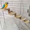 Voor dieren – Knaagdieren