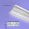 BULL Eye-Care & Study LED Desk Lamp