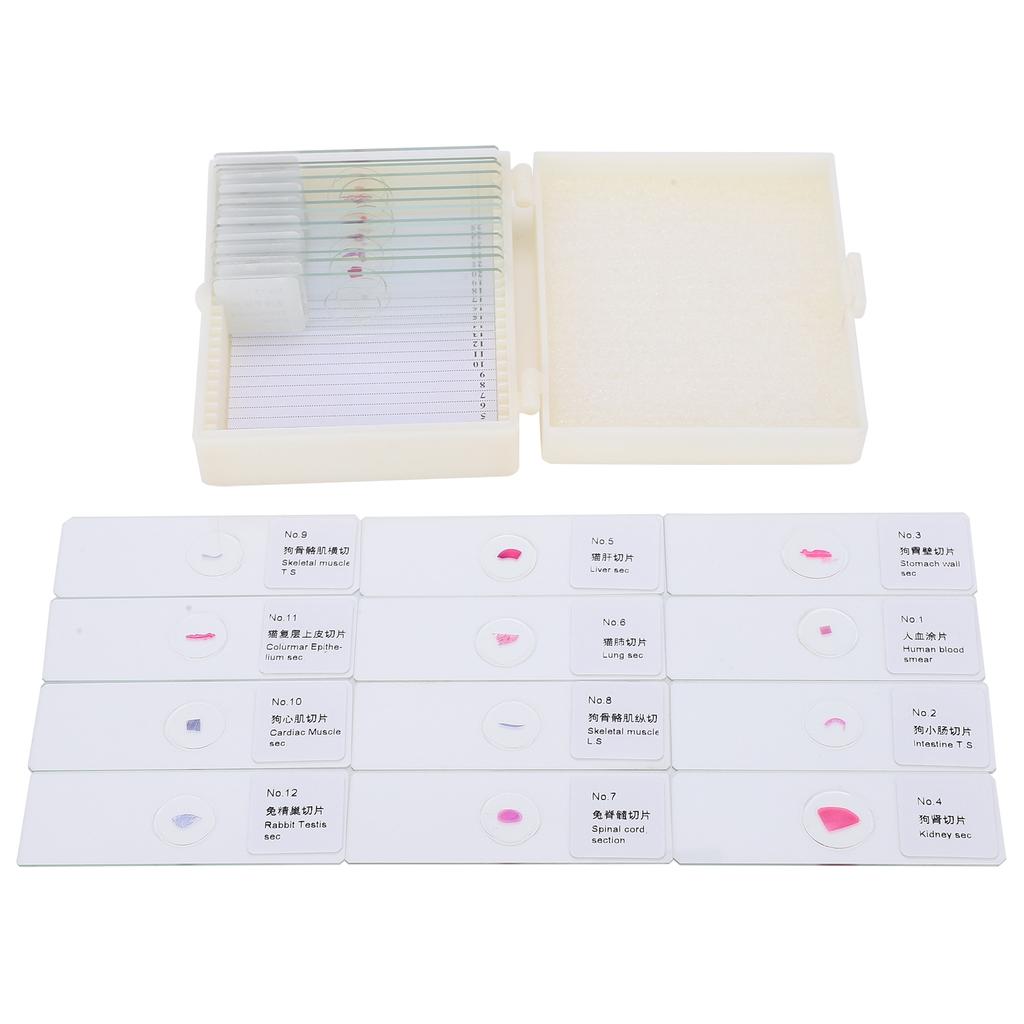 DW‑25 25Pcs Animal Slides Microscope Sample Slides Specimens for Science Education