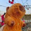 Baby Capybara Breathing Sleep Plush Toys Baby Sleep Companion Sound And Light Creative Doll Toy For Kid Birthday Gift