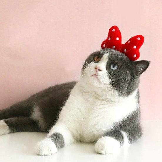 Pet Headband Contrast Color Big Bow-knot Dot Print Elastic Anti-slip Dress Up Anti-deformed Head Decoration Pet Hair Hoop Pet Accessories