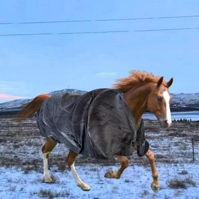 Vêtements Chauds d'Hiver pour Chevaux & Couverture Protectrice Anti-Moustiques en Flanelle Équipement d'Équitation