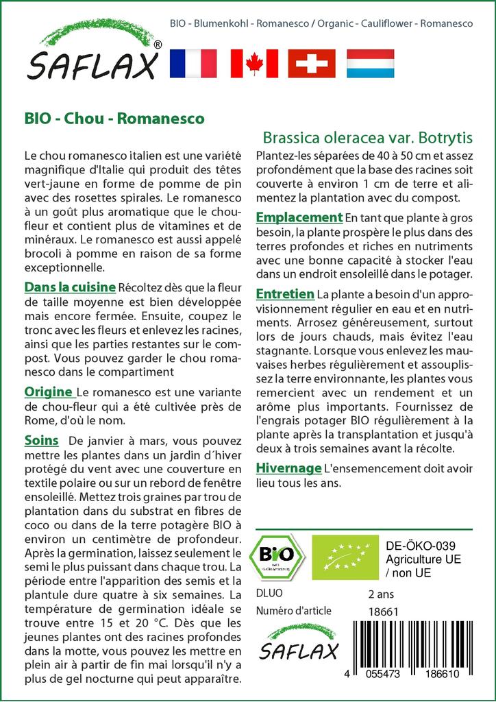 SAFLAX Organic - Cauliflower - Romanesco - 50 Seeds - Brassica Oleracea