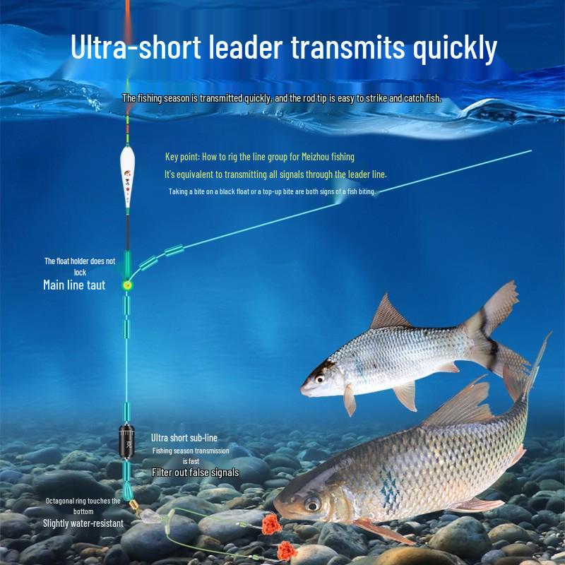 Quick-Hang 8cm Anti-Tangle Double Hook for Carp Fishing