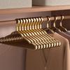 Thick No-Crease Space Aluminum Clothes Hanger for Home, Ideal for Coats & Drying