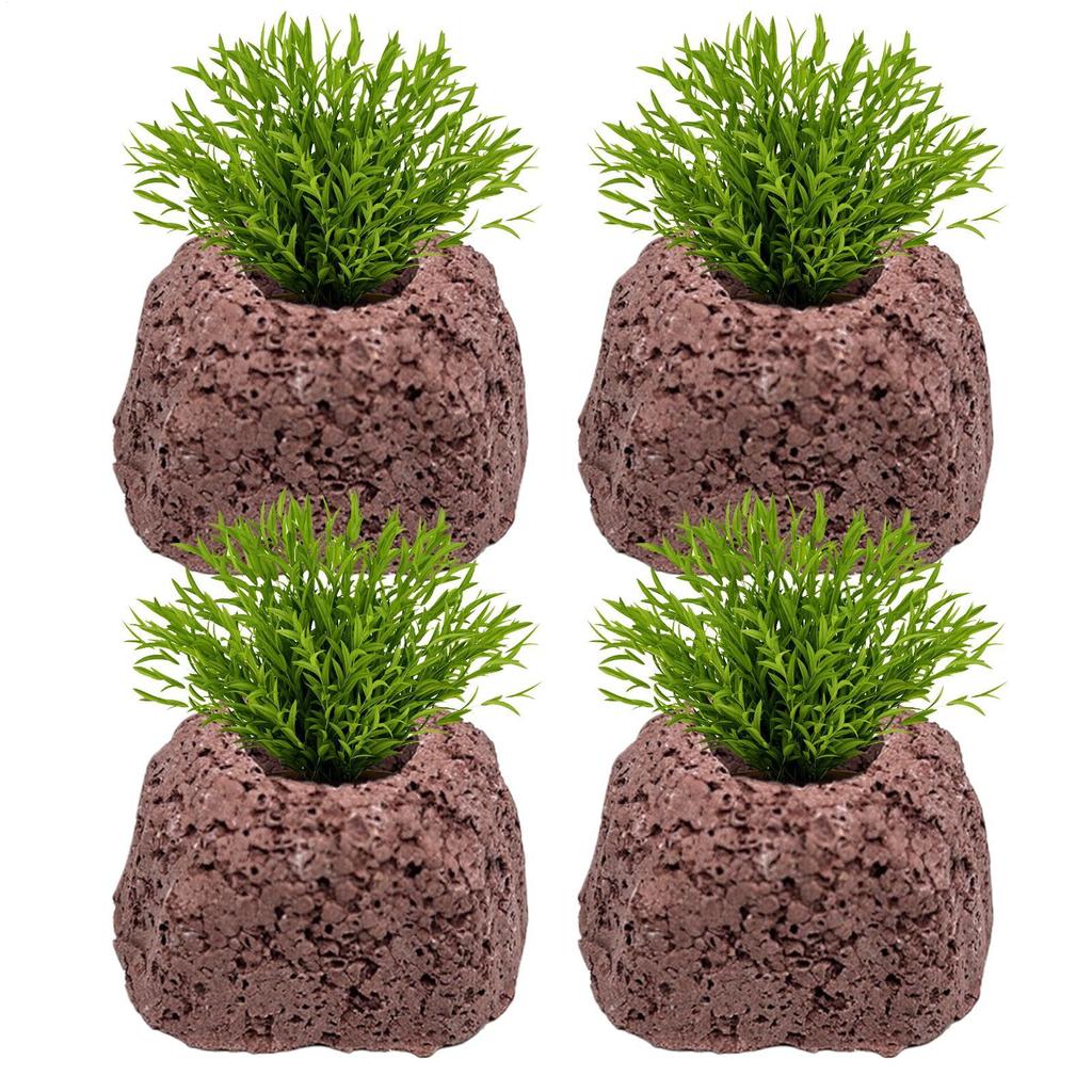 Pesi per Piante da Acquario 4 Pezzi Pietra Vulcanica Anelli Fissaggio Piante Acquatiche Anti-Galleggiamento Per Stagno Piscina Gamberetti d'Acqua Dolce