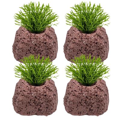 Aquarium Plant Weights 4 Pieces Volcanic Stone Anti-Floating Aquatic Water Plant Fixed Rings For Freshwater Shrimp Pond Pool