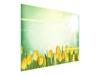 SZKLANA DESKA DO KROJENIA 52x30 TULIPANY