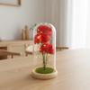 Simulation Carnation Soap Flower Eternal Flower Glass Cover Mother's Day Gift for Mom Valentine's Day Gift Teachers' Day