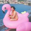 Materassino Gonfiabile Piscina Estiva Fenicottero Sport Acquatici all'Aperto Sdraio Gonfiabile con Maniglia Letto Galleggiante