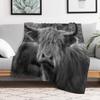 Highland Cow Throw Blanket All Weather Soft Throw Blanket for Sofa