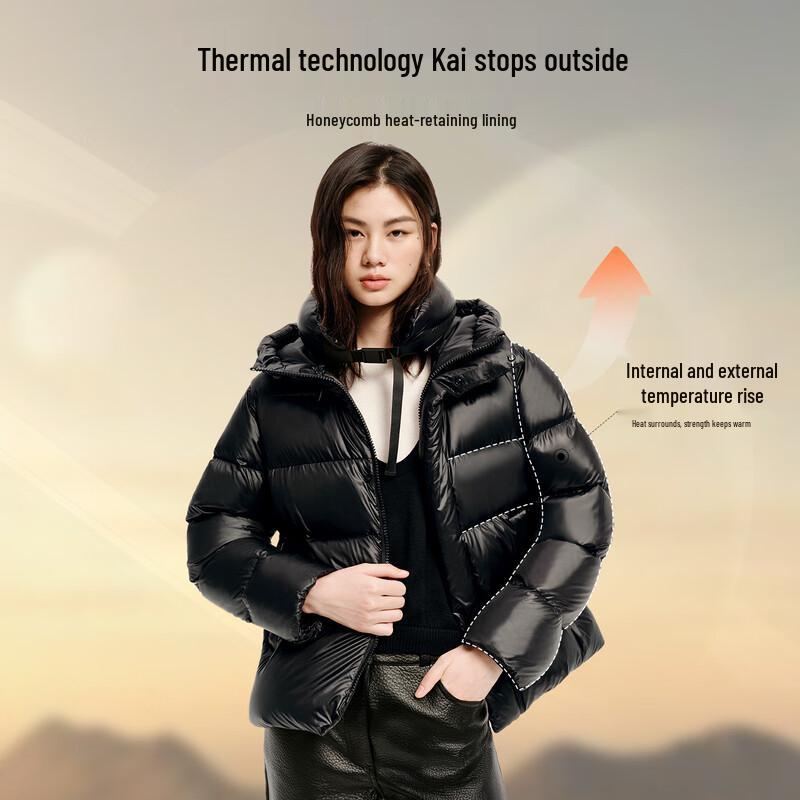 Aileiyi 2025 Star Ring Series Unisex Hooded Down Puffer Jacket