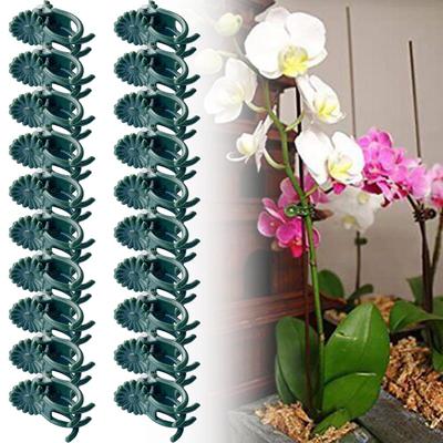 20 Stück Orchideenclips für drinnen und draußen, grün, PP
