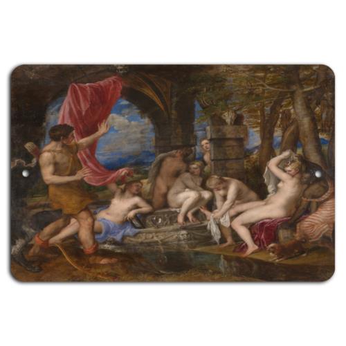 

Natures Bath Mythical Elegance on AluminumAluminumtin sign 20x30cm（7.8x11.8inch）