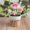 Knitting Crochet Rose Flowers Potted Plants, Mini Cute Home Desktop Decorations and Gifts for Friends, Classmates, Teacher - Christmas, Birthday Gift
