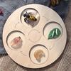 for Frog Animal Life Cycle Model Desktop Decoration Educational Development Toys Realistic Appearance Stimulate Interest