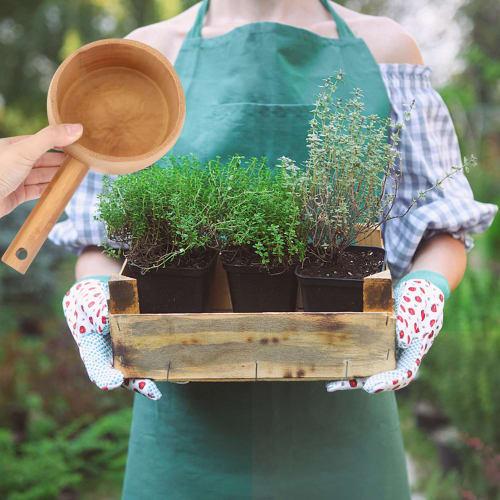 Hemoton Wooden Water Ladle for Sauna, Bath, Garden, Tea Ceremony, Japanese Style