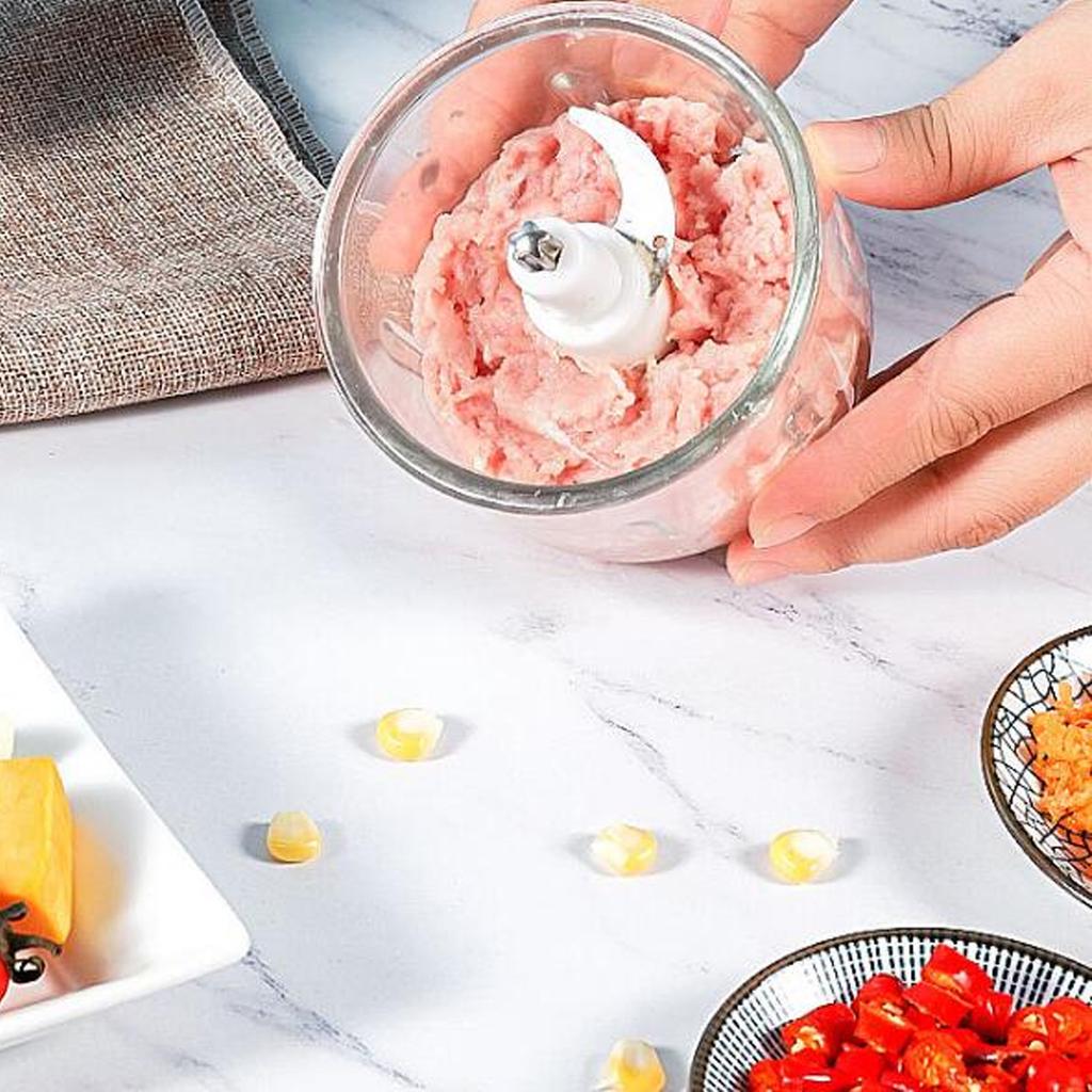Electric Garlic Chopper 300ML Portable Food Processor Vegetable Mincer Blender for Nuts Chili Onion Minced Meat