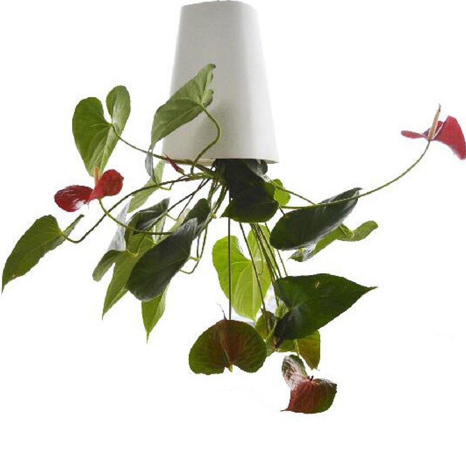 

Flower Pot Lightweight Decoration Flower Vase Self Absorbing Gift Upside Down Plant for Garden Office Kitchen Home Desktop белый