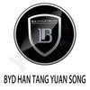 Pro BYD ATTO3 YUAN PLUS SONG HAN Označení volantu Označení středu kola Autopříslušenství Dekorace auta