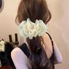 Elegante Coda di Cavallo con Mesh e Arricciature, Molletta a Banana per Capelli, Pinze per Capelli a Forma di Pesce, Fermaglio Twist, Barrette, Accessori per Capelli da Donna