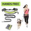Laufen, Gehen, Training mit Taschen und Leckerli-Beutel für Hunde, verstellbarer Taillengürtel, flexibler Bungee-Gürtel