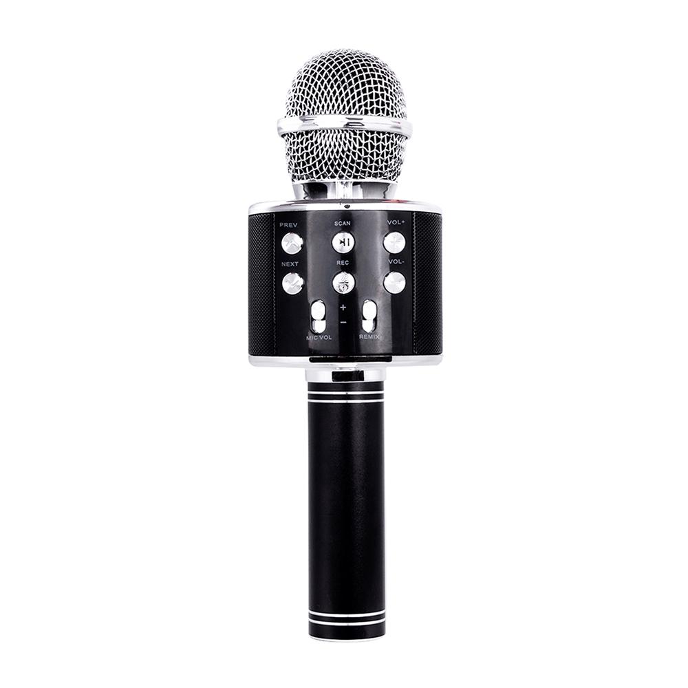 Profesionální bezdrátový mikrofon BT Karaoke reproduktor KTV hudební přehrávač Zpěvný rekordér Ruční